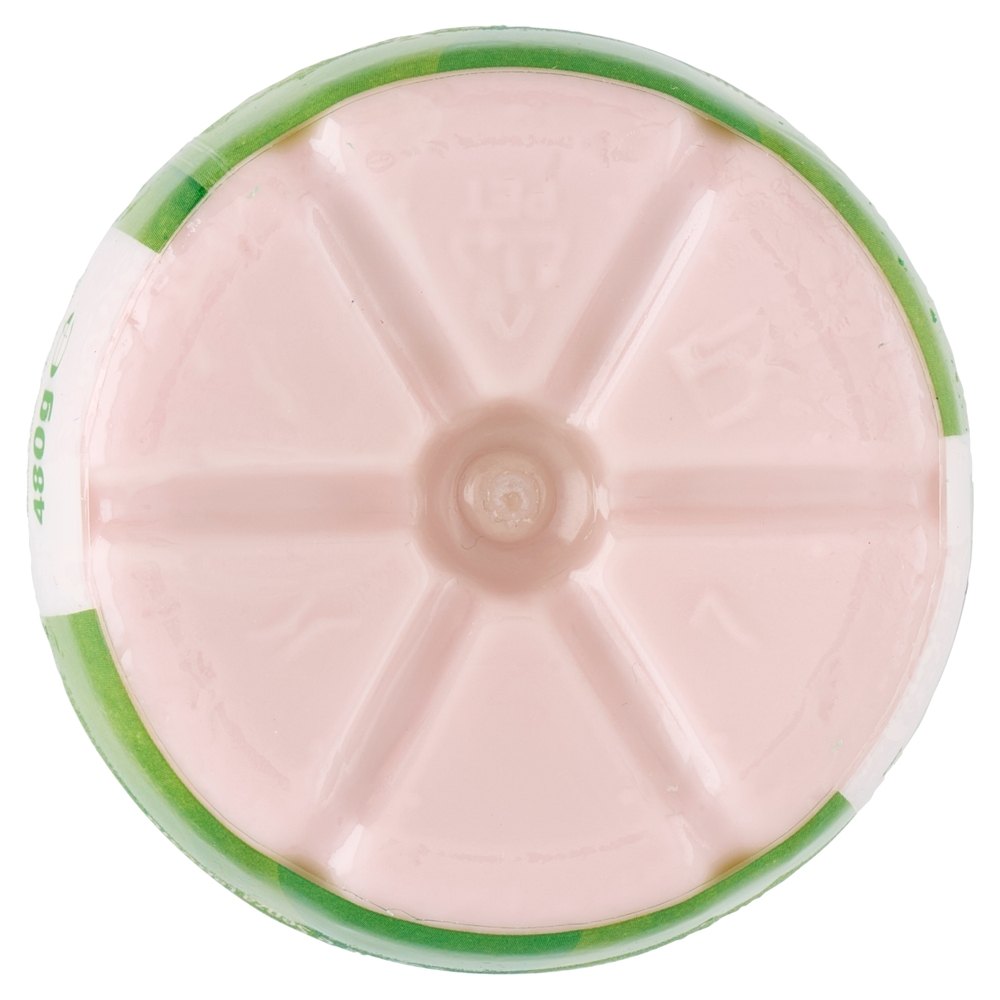 Milk Kefir Melograno e Lampone 480 g